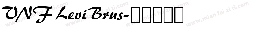 VNF LeviBrus字体转换